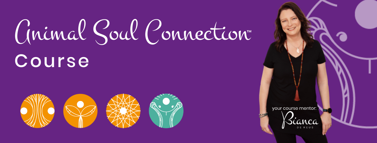 Animal Communication course header